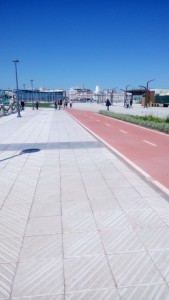 Carril Bici1