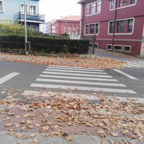 Ciudadanos critica el deplorable estado de suciedad y la gran acumulación de hojas en las calles de Ferrol