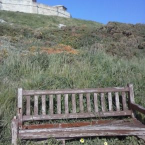 Ciudadanos (Cs) denuncia el abandono del entorno de la Torre de Hércules.