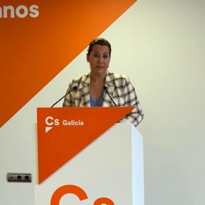 Pino: "El PPdeG tiene que entender que vivimos una situación excepcional ante el auge de los nacionalismos en Galicia” Pino: "El PPdeG tiene que entender que vivimos una situación excepcional ante el auge de los nacionalismos en Galicia”