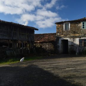 La Comisión Europea asegura a Ciudadanos su apoyo a la lucha contra la despoblación y a favor de la digitalización del mundo rural